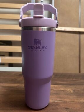 Used Stanley IceFlow Flip Straw Tumbler 30oz Purple Hot or Cold Drinks NO Straw